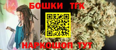 тгк Камышлов