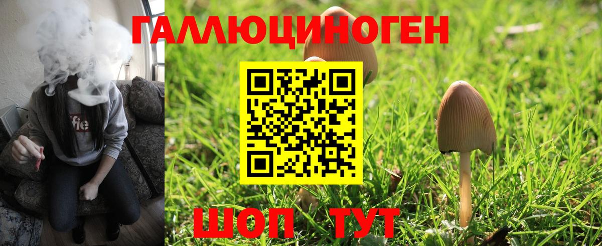 Псилоцибиновые грибы прущие грибы  Галлюциногенные грибы прущие грибы  Кувандык  Вход с VPN 